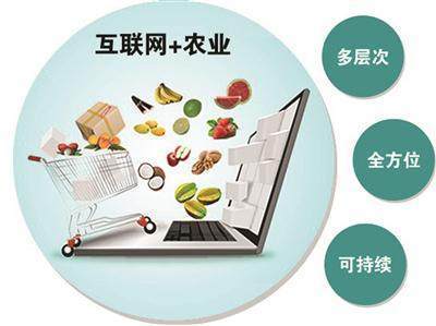 互聯網技術賦能農業現代化 智慧農業網頁設計解析